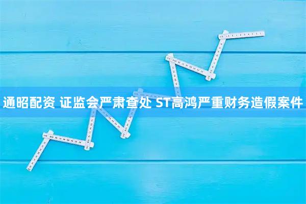 通昭配资 证监会严肃查处 ST高鸿严重财务造假案件
