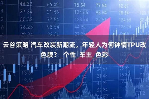 云谷策略 汽车改装新潮流，年轻人为何钟情TPU改色膜？_个性_车主_色彩