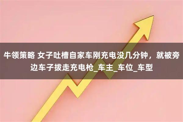 牛领策略 女子吐槽自家车刚充电没几分钟，就被旁边车子拔走充电枪_车主_车位_车型