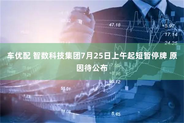 车优配 智数科技集团7月25日上午起短暂停牌 原因待公布