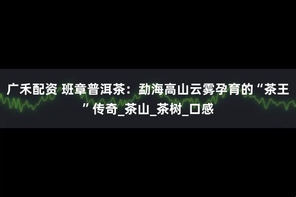 广禾配资 班章普洱茶：勐海高山云雾孕育的“茶王”传奇_茶山_茶树_口感